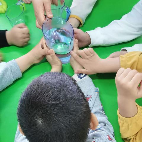 容幼大二班科探室活动—《水的温度》