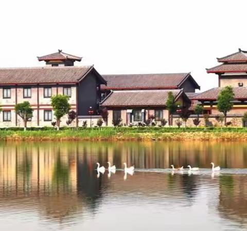 阳光行 快乐一日游