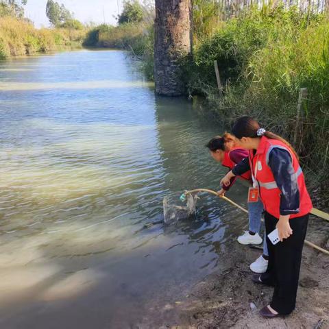 新龙镇网格员开展常态化巡检水利沟