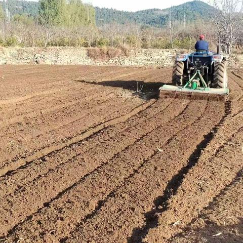 榆山街道十里铺村：坚定振兴之路   改变思路兴产业