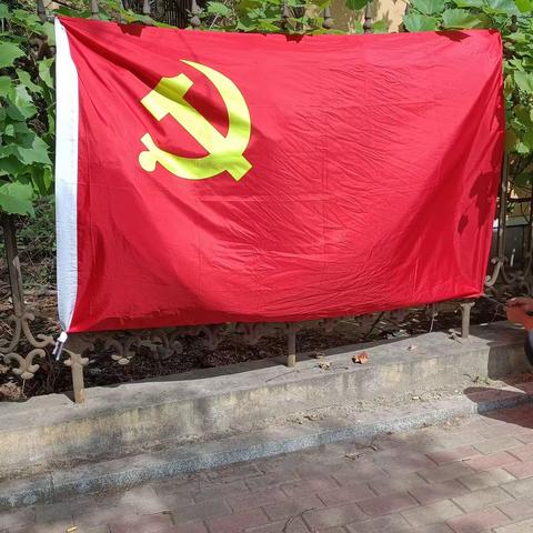 传承红色基因    凝聚志愿力量