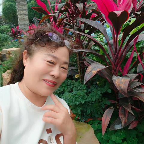 辽峰小镇中圣生态园一日游