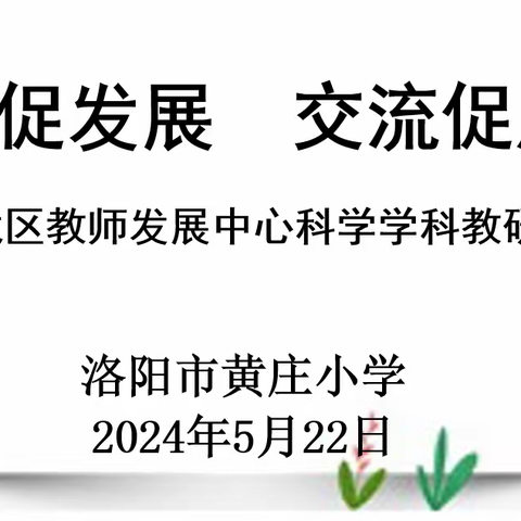 五月夏意浅，教研正缤纷—-洛龙区教师发展中心科学学科教研活动