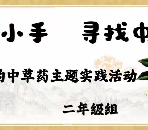 大手拉小手   寻找中草药——       潞州区下南街小学二年级寻找身边的中草药主题实践活动