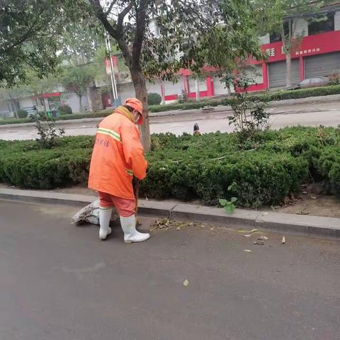 鼎瑞泰沣用汗水擦亮城市，用坚守诠释“劳动最光荣”