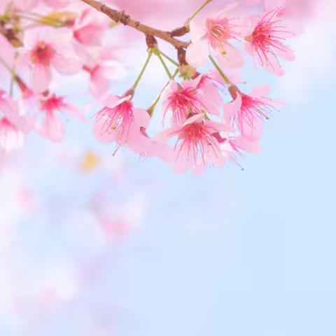 东华实验学校举行“携手灌溉 静待花开”一、七、九年级家长会——与您共享成长时光