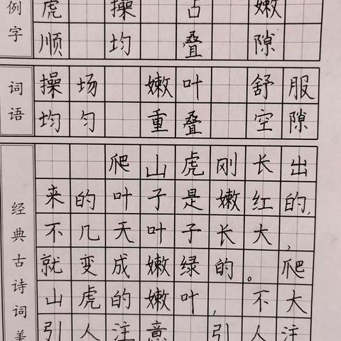 当好中国人，写好中国字  一一四（1）班书写展示