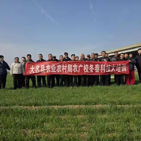 田间地头送技术 科技助农促春耕——大名县开展小麦春季管理技术培训