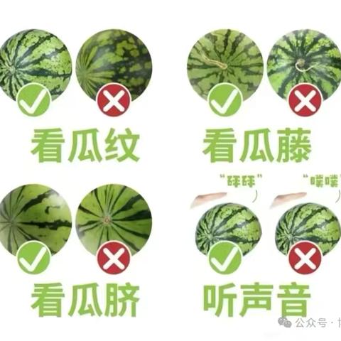 【和润教育——班本课程】快乐一”夏”——小二班班本课程故事