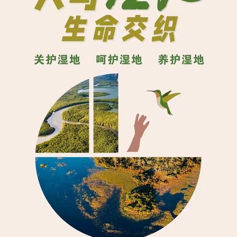 陈巴尔虎旗林业和草原保护与发展中心开展“世界湿地日”主题宣传活动