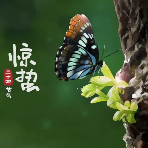 临沭县大兴镇高埠小学开展“惊蛰”节气主题班会教育活动