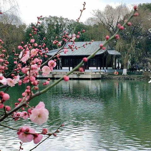 时光不语，静待花开                           ——诗山社坛小学四年2班班级小结