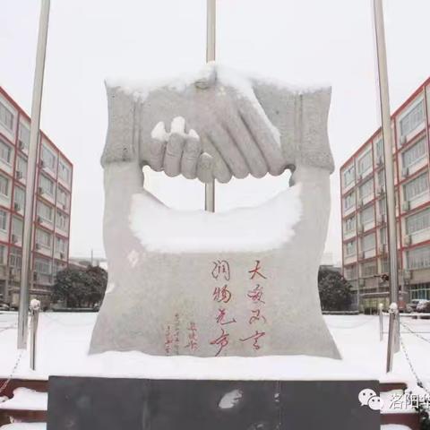 洛阳冬韵：寒色中的诗意华章