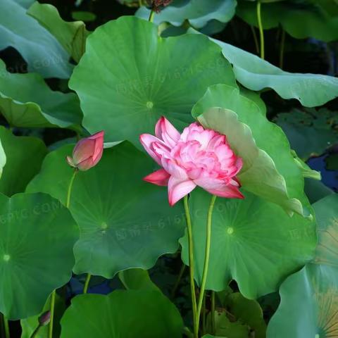 幼儿园的快乐时光————小四班