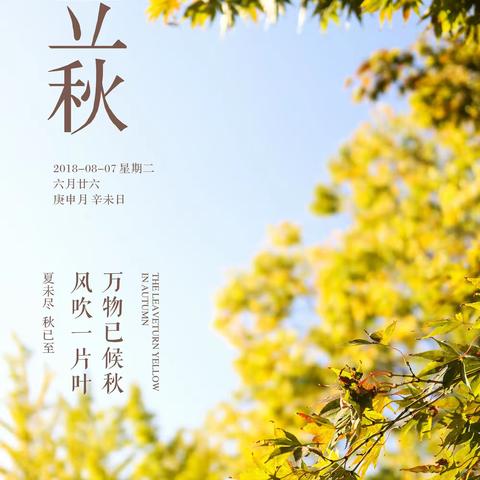 风吹一片叶    万物知惊秋——宜辉幼儿园 小四班