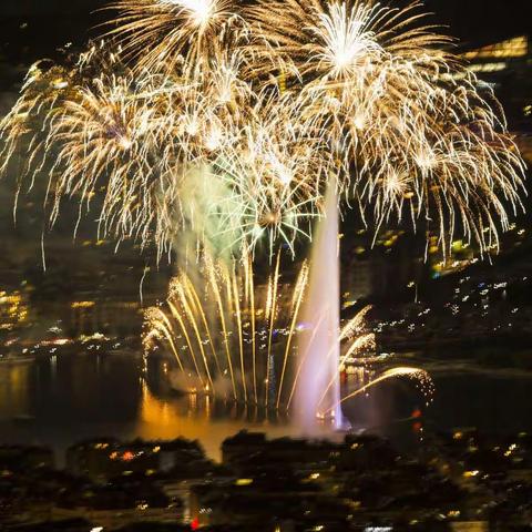 新年到，鸿运照，祝所有家人们：新年快乐！好运连连，幸福安康！下面是永乐花园近期工作汇报！敬请查阅