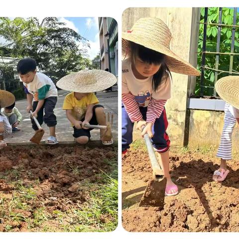 依托稻谷耕种，编织幼儿劳动梦想的“串班”分享故事活动