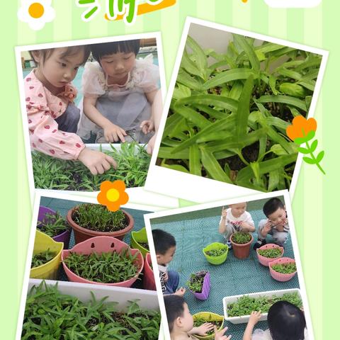 四月，美在谷雨，美在花落纷扬，美在草长莺飞！下面是“编”精心为您整理的关于四月的美好时光，希望您喜欢！