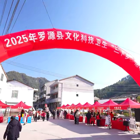 2025年罗源县文化科技卫生“三下乡”走进飞竹镇斌溪村主会场