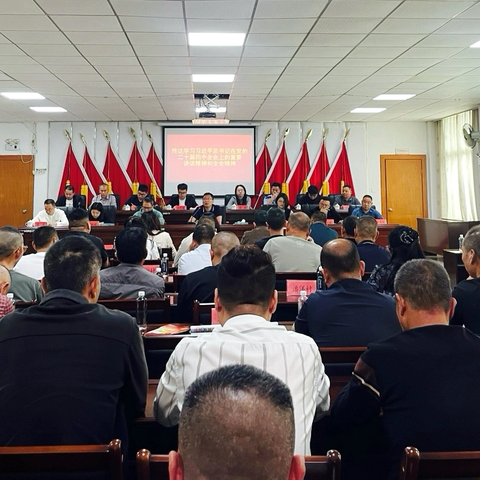 飞竹镇认真传达学习党的二十届四中全会精神