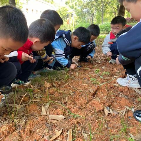 元培幼儿园大二班3月精彩回顾