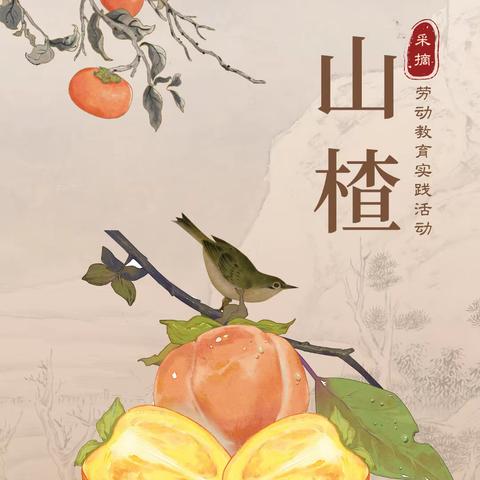 “粒粒山楂别样妆，采得酸甜送同窗”——菏泽鲁西新区吕陵镇吕陵小学