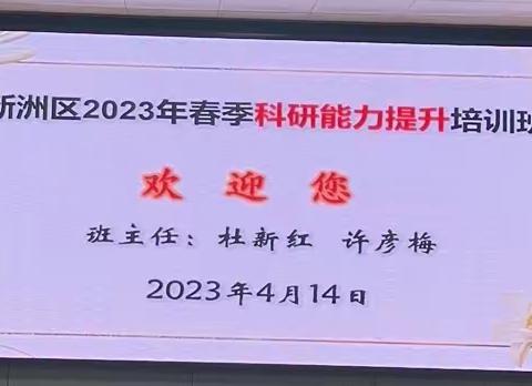 专家理论指导 教师“自主生长”——新洲区2023年春季教师科研能力提升培训纪实