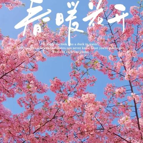 春暖花开 向阳成长—胡指挥小学第四期