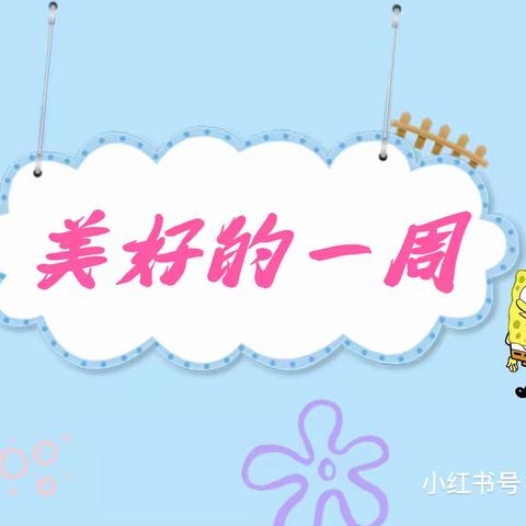 🌸美好时光🌸—新之星幼儿园大班