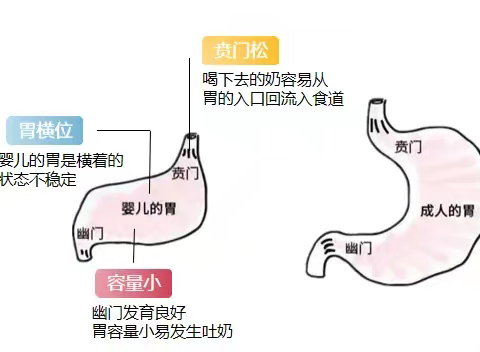 吐奶、呛奶知多少——新生儿吐奶、呛奶的预防处理