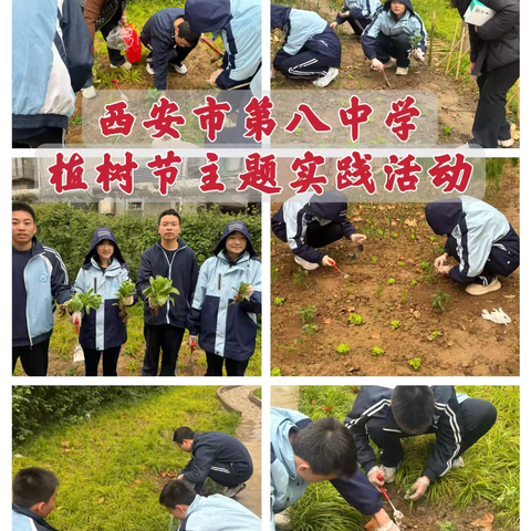 “植此青绿·共育未来”——西安市第八中学组织学生开展植树节主题实践活动