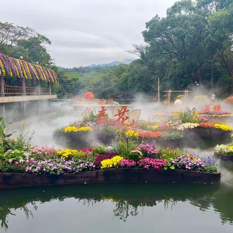 【安全生产周报】东湖公园-罗芳公园-布心山公园2023年12月第4周工作汇报