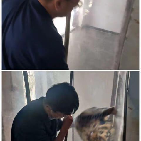 新的一年，新的开始