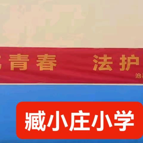 引航青春 法护成长——沧县崔尔庄镇臧小庄小学普法宣传活动纪实