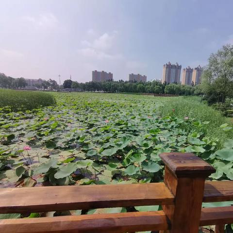 沈铁育智幼儿园中一班11月主题活动《我家门前有条河》精彩瞬间