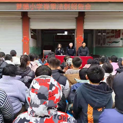 法治护航 安全成长—萝藤小学春季法治报告会