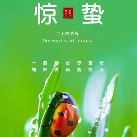二十四传统文化—惊蛰