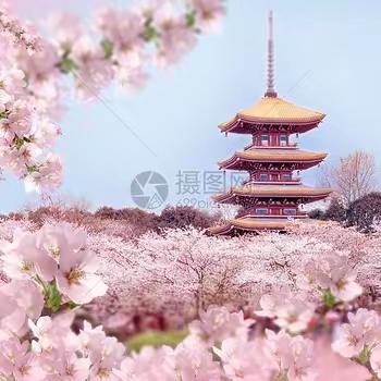 那一次，我真自在