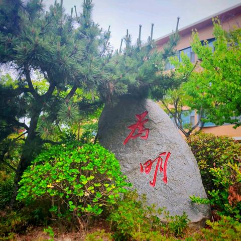 青岛为明学校三年级住校生返校的快乐生活