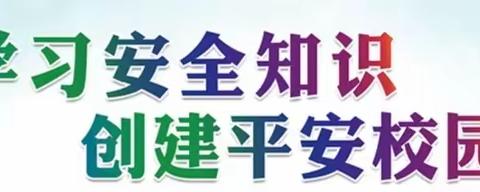 夏日作伴研学去，安全教育护“童”行----黑河市六小龙江校区五年九班假期研学活动专集