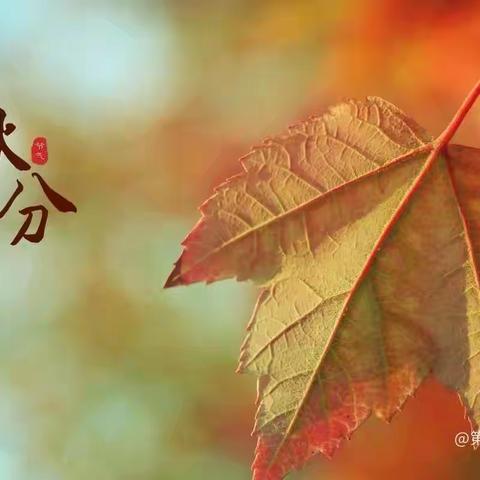 【秋分至 秋意浓】——二十四节气之秋分