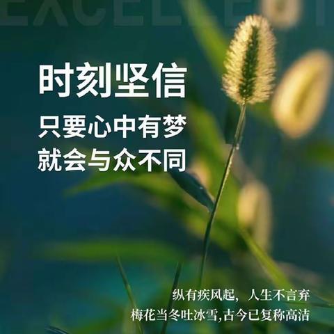 林文采博士经典语录90则，所有心理治疗最后都是宽恕和爱(一)