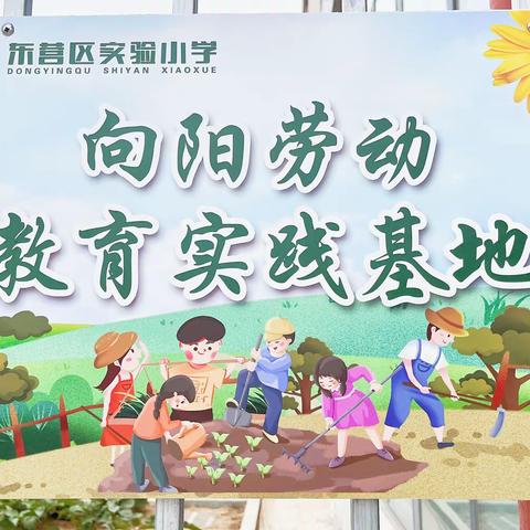 感受劳动之美  共享劳动之乐 ——东营区实验小学项目式劳动实践活动纪实（一）