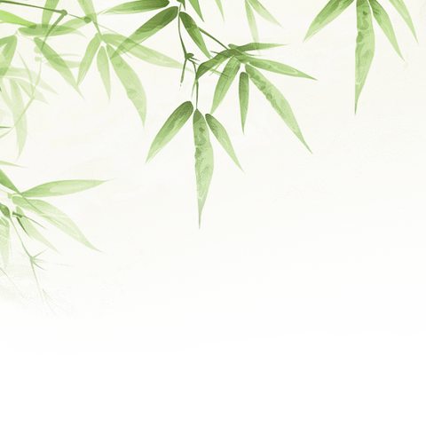 阅读赋成长 书香绽芳华 东营区实验小学开展寒假读好书分享活动