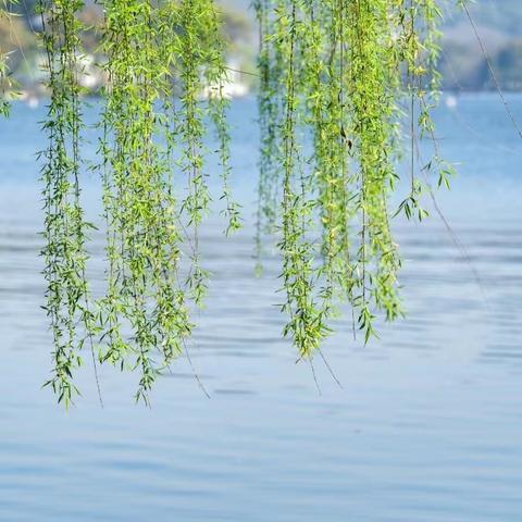 三月春风里 无风花自香