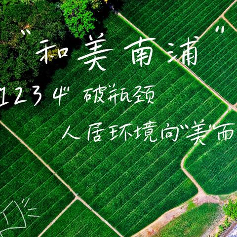 【冀村镇环境整治“进行时”】南浦村：“1234”破瓶颈，人居环境向“美”而行