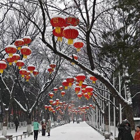 雪天出行 安全第一 —茂名市茂南区南华小学开展寒假雪天安全教育