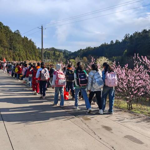 在天晴了的时候  该到桃花岛走走      ——打苴花园联合小学春游记