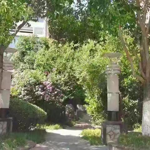 思念果岭一期睦府洋房12月份物业服务工作汇报