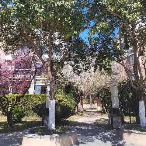 思念果岭一期睦府洋房2025年6月份物业服务工作汇报